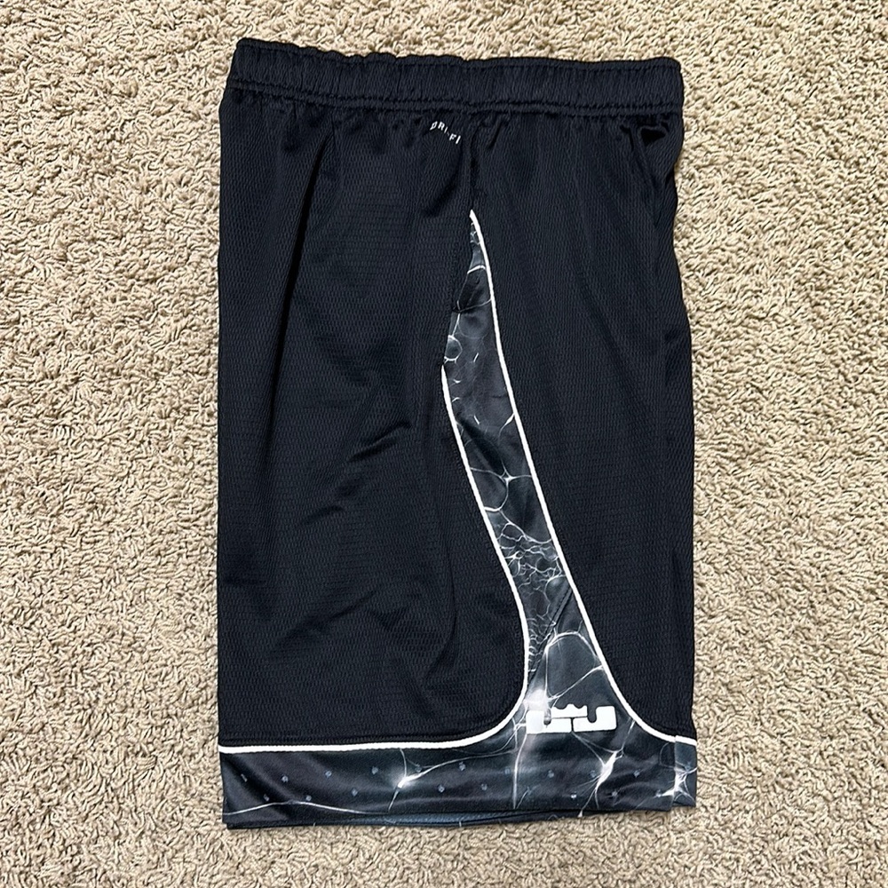 Lebron James Nike dri fit shorts
